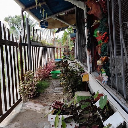 Hostal Cafe Axel 博卡斯德尔托罗 外观 照片